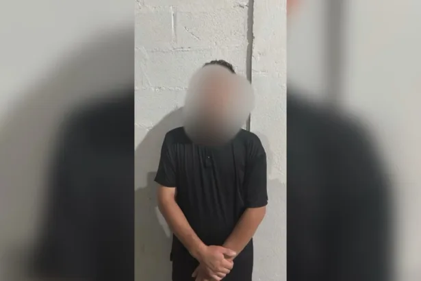 goias-registra-dois-feminicidios-no-final-de-semana;-numero-ja-chega-a-25-em-2026