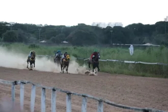 reaberto-no-fim-de-marco,-hipodromo-da-lagoinha-recebera-nova-corrida-de-cavalos-em-maio