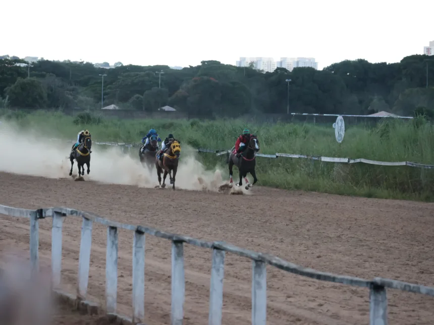reaberto-no-fim-de-marco,-hipodromo-da-lagoinha-recebera-nova-corrida-de-cavalos-em-maio