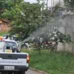 apos-10-anos,-goiania-retoma-uso-do-fumace-para-conter-avanco-da-dengue