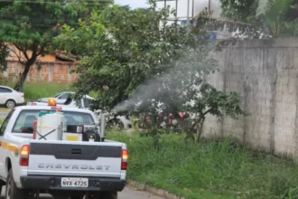 apos-10-anos,-goiania-retoma-uso-do-fumace-para-conter-avanco-da-dengue