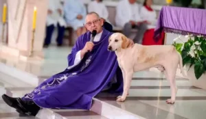 vira-lata-caramelo-se-torna-‘fiel’-e-passa-a-frequentar-missas-no-parana;-veja-fotos