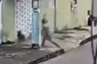 cachorro-comunitario-desmaia-apos-ser-agredido-com-pedaco-de-madeira-em-neropolis