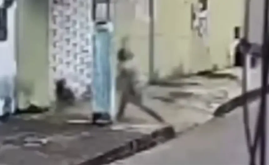 cachorro-comunitario-desmaia-apos-ser-agredido-com-pedaco-de-madeira-em-neropolis