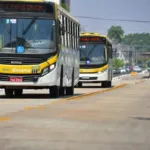 veja-lista-dos-10-bairros-de-goiania-com-mais-casos-de-dengue