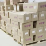 galpao-clandestino-com-produtos-da-wepink-e-fechado-em-anapolis