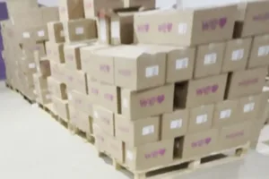 galpao-clandestino-com-produtos-da-wepink-e-fechado-em-anapolis