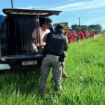 mst-diz-que-agressao-a-vereador-em-santa-helena-ocorreu-apos-negociacao:-‘barbarie-se-repetiu’