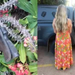 mulher-esconde-pistola-em-moita-de-espinhos-apos-agredir-e-roubar-cunhada-em-aparecida