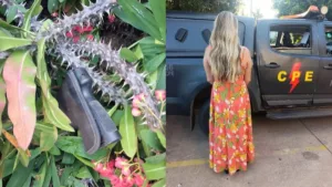 mulher-esconde-pistola-em-moita-de-espinhos-apos-agredir-e-roubar-cunhada-em-aparecida