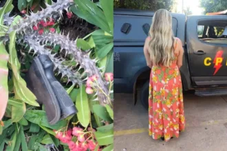 mulher-esconde-pistola-em-moita-de-espinhos-apos-agredir-e-roubar-cunhada-em-aparecida