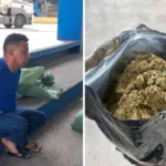 flagrado-com-maconha,-homem-provocou-agente:-“pelo-cheiro,-ja-sabe”