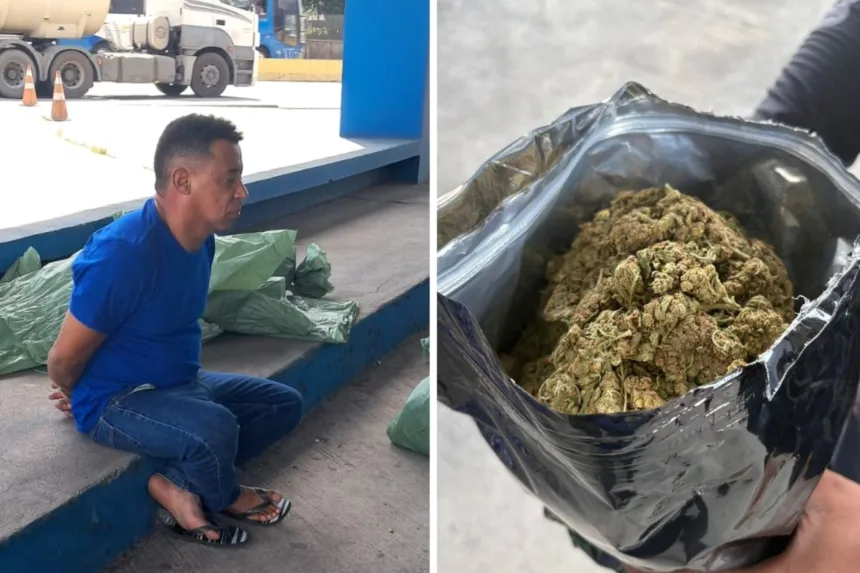 flagrado-com-maconha,-homem-provocou-agente:-“pelo-cheiro,-ja-sabe”