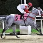 nobreza-e-velocidade-na-lagoinha