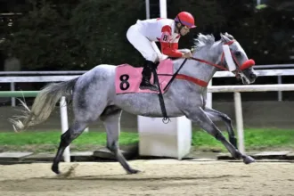 nobreza-e-velocidade-na-lagoinha