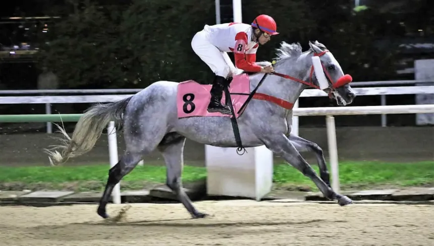 nobreza-e-velocidade-na-lagoinha