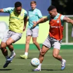 paulinho-treina-normalmente-e-pode-ser-novidade-no-palmeiras-para-estreia-na-copa-do-brasil