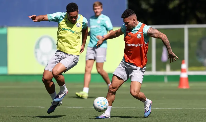 paulinho-treina-normalmente-e-pode-ser-novidade-no-palmeiras-para-estreia-na-copa-do-brasil