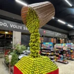 empresario-de-goiania-transforma-hortifruti-em-arte-e-ganha-destaque-ate-na-suecia