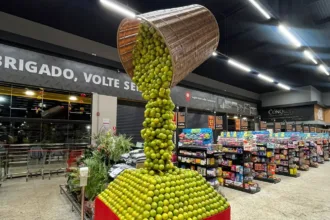 empresario-de-goiania-transforma-hortifruti-em-arte-e-ganha-destaque-ate-na-suecia