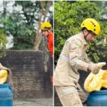 bombeiros-resgatam-cobra-de-quase-4-metros-no-centro-de-aruana