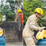 go:-cobra-exotica-de-4-m-foge-de-casa-e-vai-parar-no-centro-de-aruana