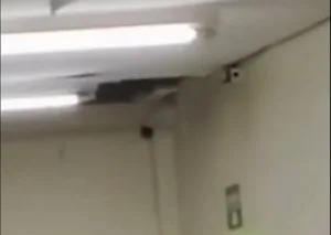 vazamento-em-tubulacao-causa-queda-de-teto-na-santa-casa-de-goiania