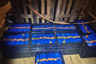 carga-de-maconha-em-goias-leva-policia-a-500-kg-de-cocaina-no-maranhao