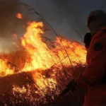 estado-vai-remunerar-servicos-ambientais-prestados-por-brigadas-de-incendio-em-goias