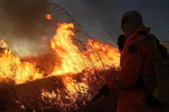 estado-vai-remunerar-servicos-ambientais-prestados-por-brigadas-de-incendio-em-goias