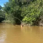 idoso-desaparece-no-rio-piracanjuba-e-e-encontrado-horas-depois-agarrado-a-uma-arvore