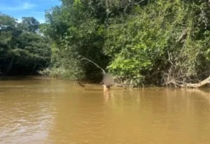 idoso-desaparece-no-rio-piracanjuba-e-e-encontrado-horas-depois-agarrado-a-uma-arvore