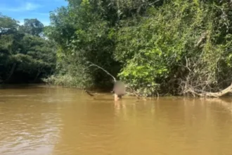 idoso-desaparece-no-rio-piracanjuba-e-e-encontrado-horas-depois-agarrado-a-uma-arvore