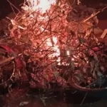 lider-da-forca-jovem-vai-a-juri-por-morte-de-rival-em-emboscada-em-aparecida