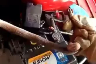 cobra-em-carro,-no-muro-e-jiboia-na-rua-assustam-moradores-em-luziania