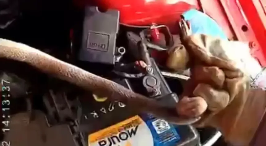 cobra-em-carro,-no-muro-e-jiboia-na-rua-assustam-moradores-em-luziania