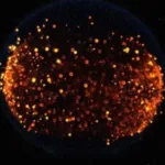 por-que-a-nasa-quer-provocar-um-incendio-na-lua-em-2026-–-uol