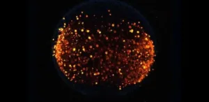 por-que-a-nasa-quer-provocar-um-incendio-na-lua-em-2026-–-uol