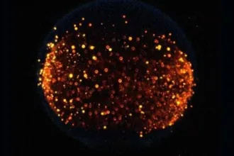 por-que-a-nasa-quer-provocar-um-incendio-na-lua-em-2026-–-uol