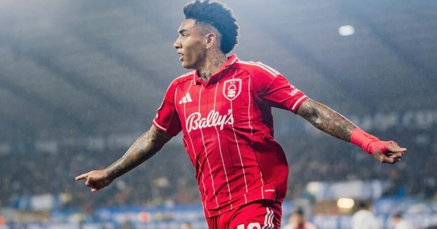 lista-de-credores:-botafogo-deve-r$-118-milhoes-ao-nottingham-forest,-r$-17-milhoes-a-igor-jesus-e-r$-5-milhoes-a-nathan-fernandes;-veja-outras-dividas-–-fogaonet