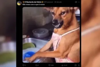 cachorro-caramelo-e-raca-do-mexico?-decisao-revolta-brasileiros:-“vao-comer-abacate”
