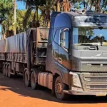 caminhoneiro-e-preso-com-2,5-toneladas-de-agrotoxicos-contrabandeados-em-goias
