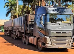 caminhoneiro-e-preso-com-2,5-toneladas-de-agrotoxicos-contrabandeados-em-goias