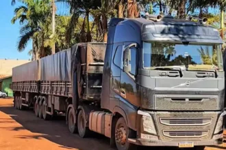caminhoneiro-e-preso-com-2,5-toneladas-de-agrotoxicos-contrabandeados-em-goias