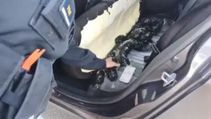 goias-registra,-em-catalao,-a-maior-apreensao-de-ampolas-emagrecedoras-da-historia,-diz-prf