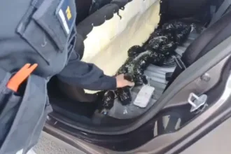 goias-registra,-em-catalao,-a-maior-apreensao-de-ampolas-emagrecedoras-da-historia,-diz-prf