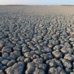 el-nino-mais-forte-em-uma-decada-ameaca-colheitas-globais-–-cnn-brasil