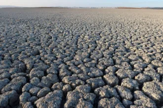 el-nino-mais-forte-em-uma-decada-ameaca-colheitas-globais-–-cnn-brasil