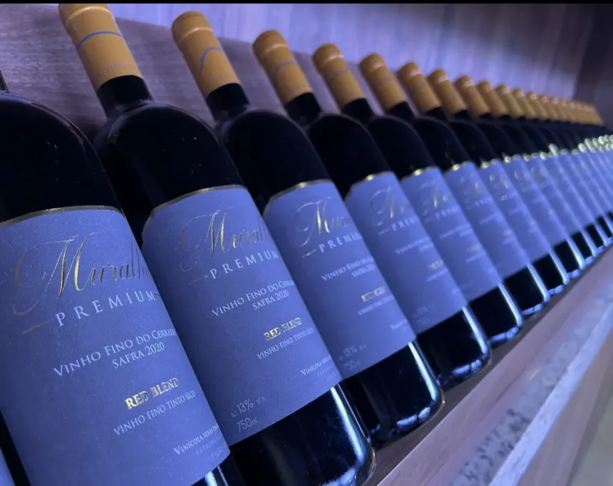 premios-internacionais-colocam-vinhos-goianos-no-mapa-dos-rotulos-finos