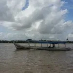 quatro-sao-presos-com-carga-de-grude-de-peixe-avaliada-em-r$-1-mi-no-amapa